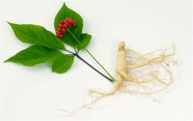 Natural Stimulators of Male
