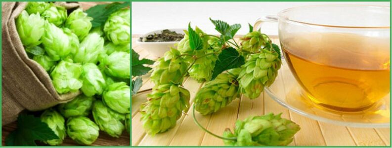 a decoction of hop cones for a potency of 50